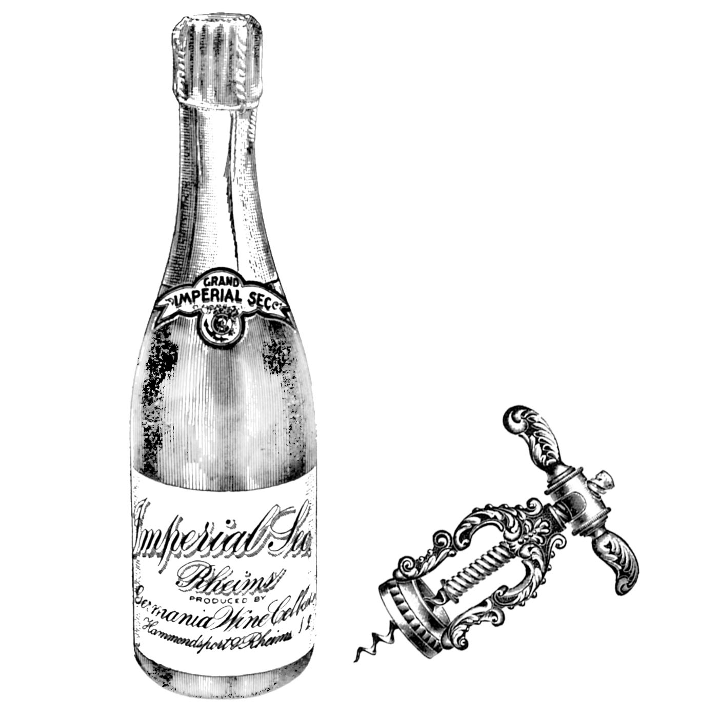 #1831 - Champagne and Opener - Eclectic